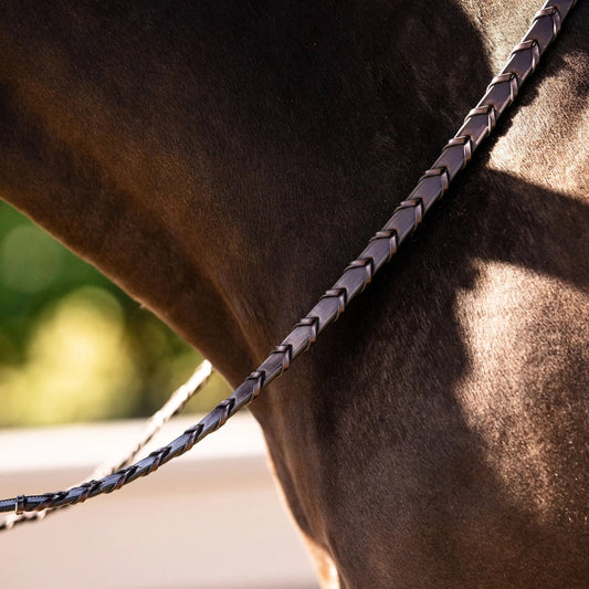 brown braided reins