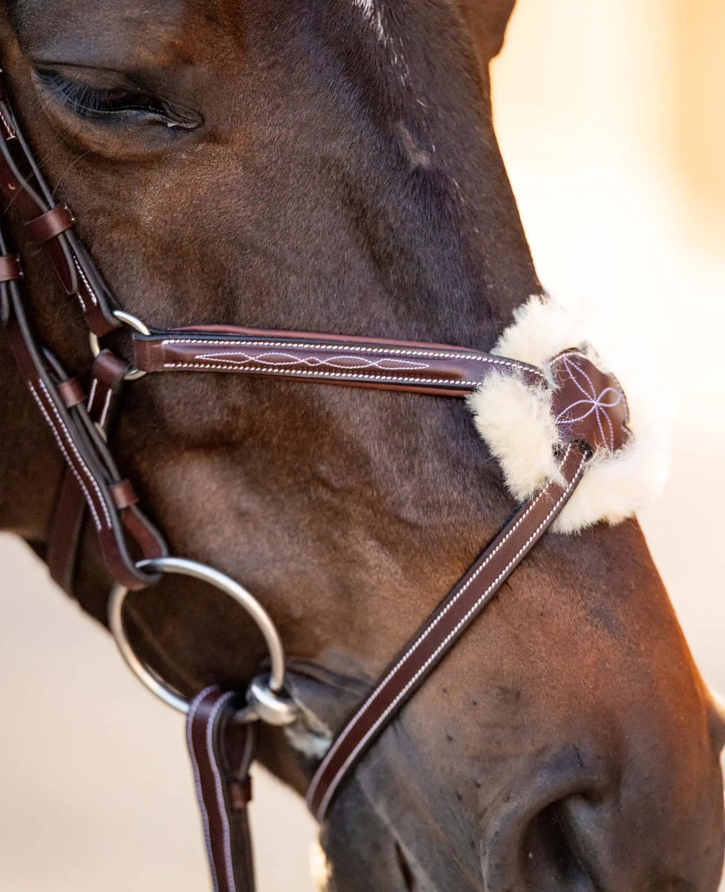 Huntley Equestrian Sedgwick Leather Padded Monocrown Figure 8 Bridle
