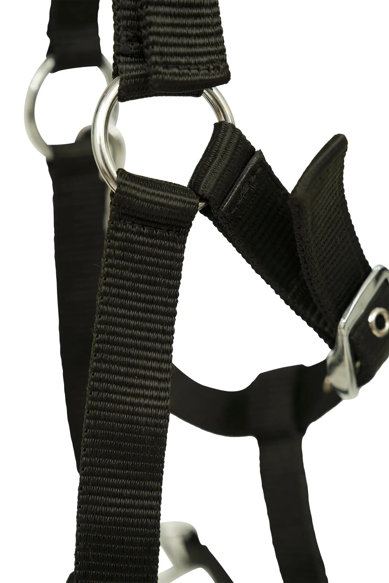 Huntley Nylon Padded Lunging Caveson, Black