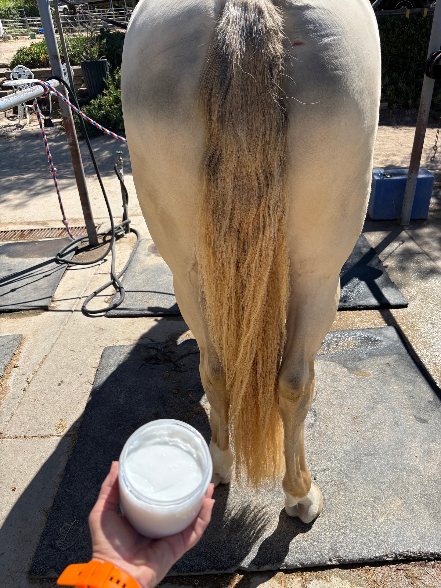 Horspa mane and tail deep condition mask