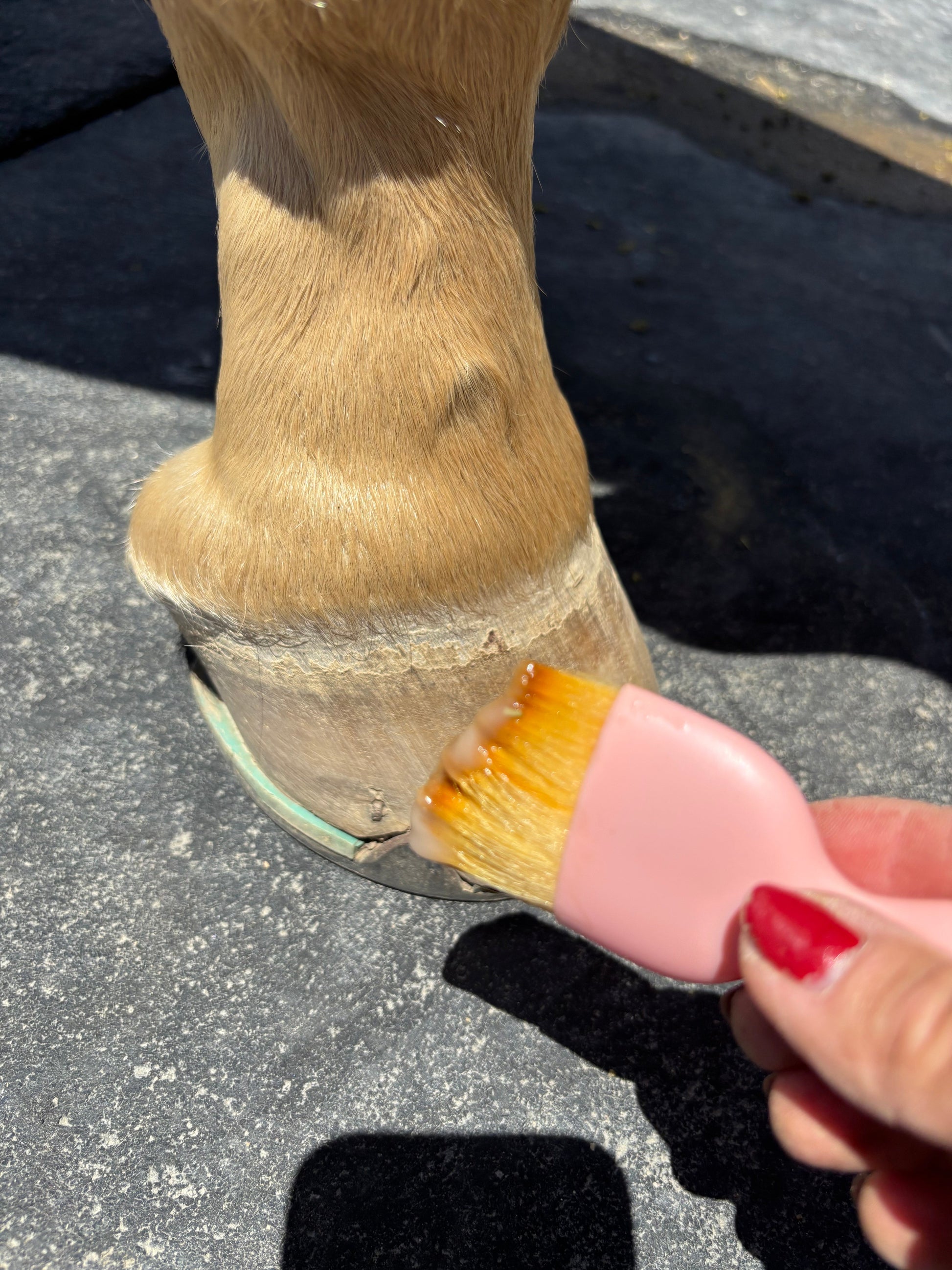 hoof balm