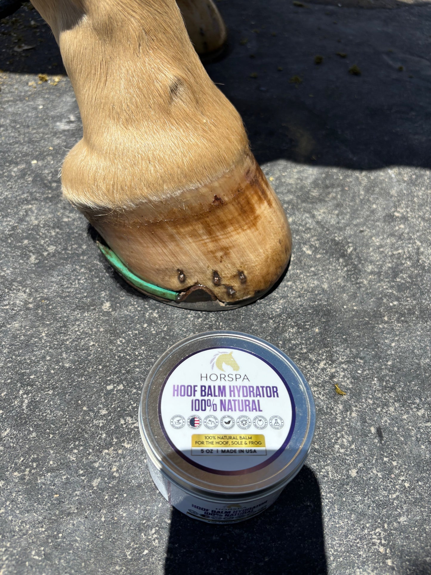 hoof balm