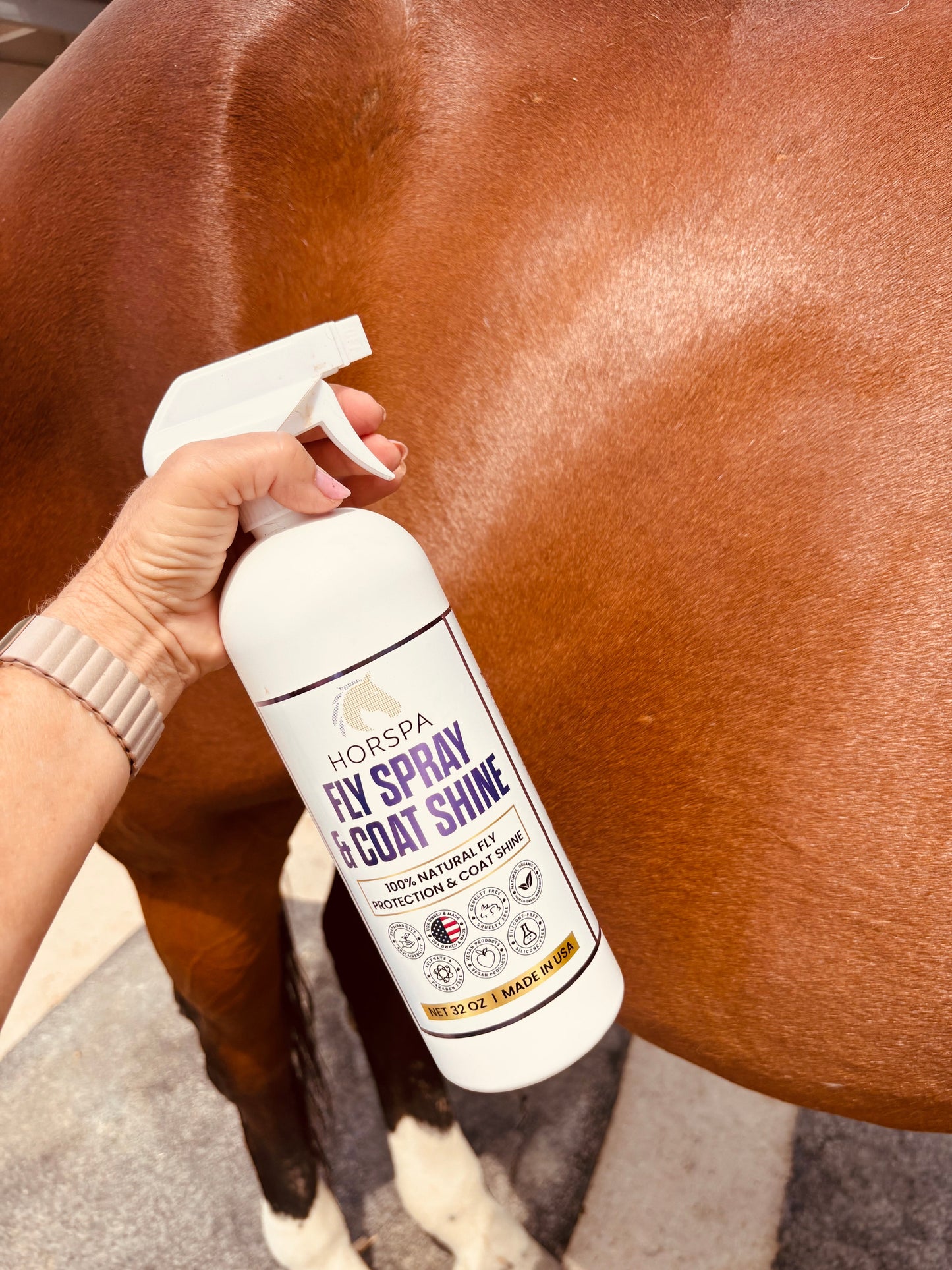 Person applying Horspaa Fly Spray Coat Shine to a horse's coat.