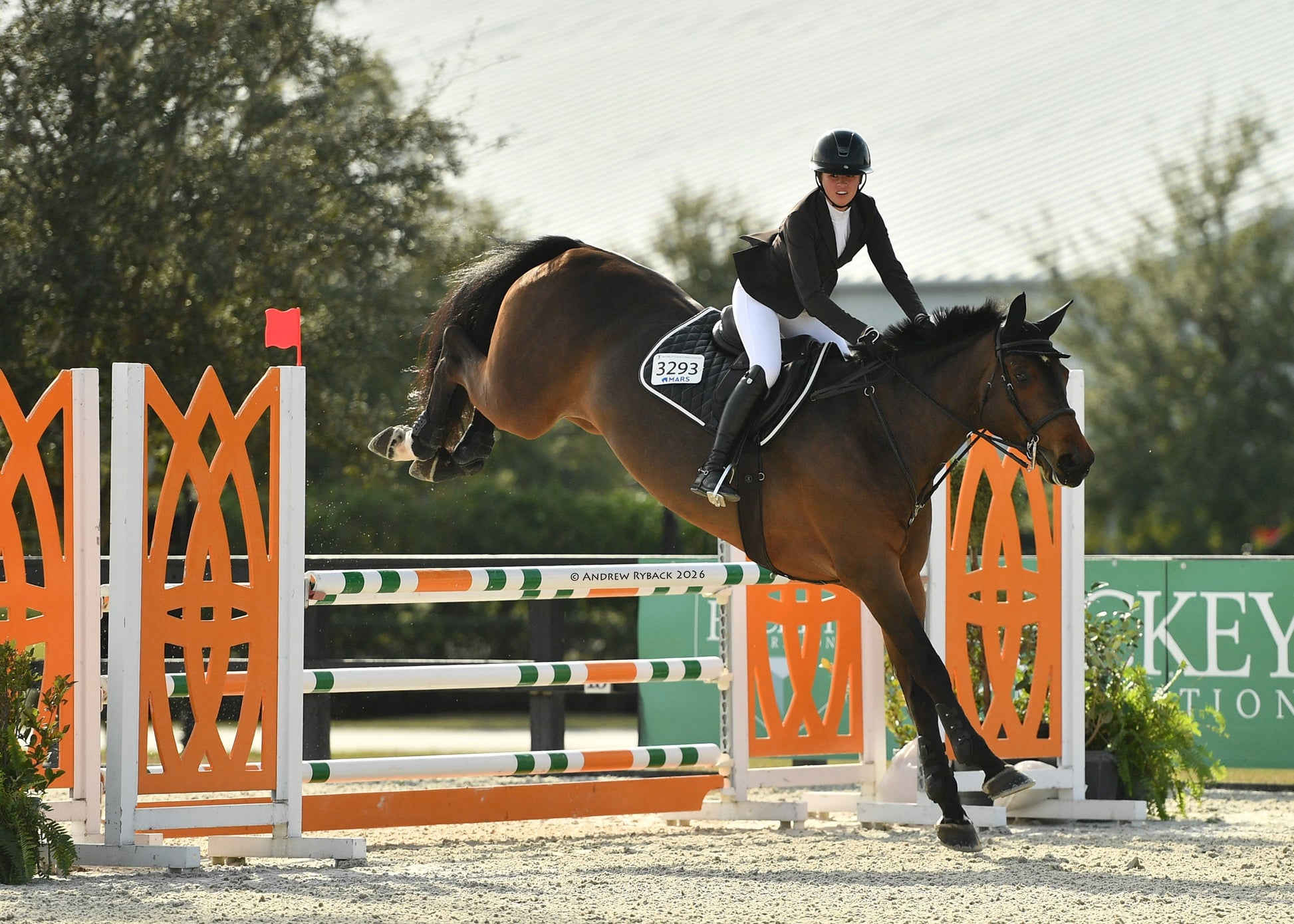 Horse and rider jumping an obstacle at an equestrian event
