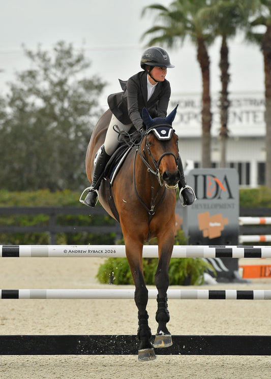Horse and rider jumping over an obstacle in an equestrian setting with palm trees in the background.