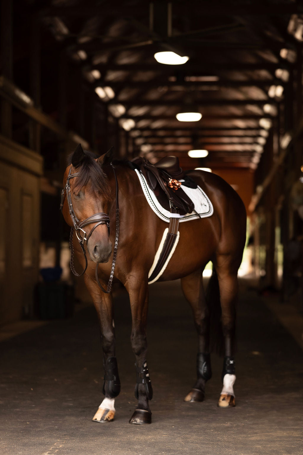 padded horse girth