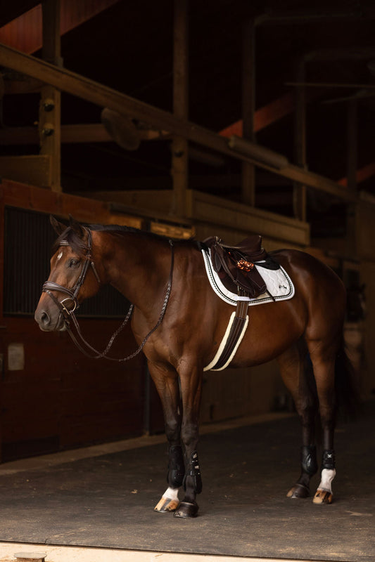 padded horse girth