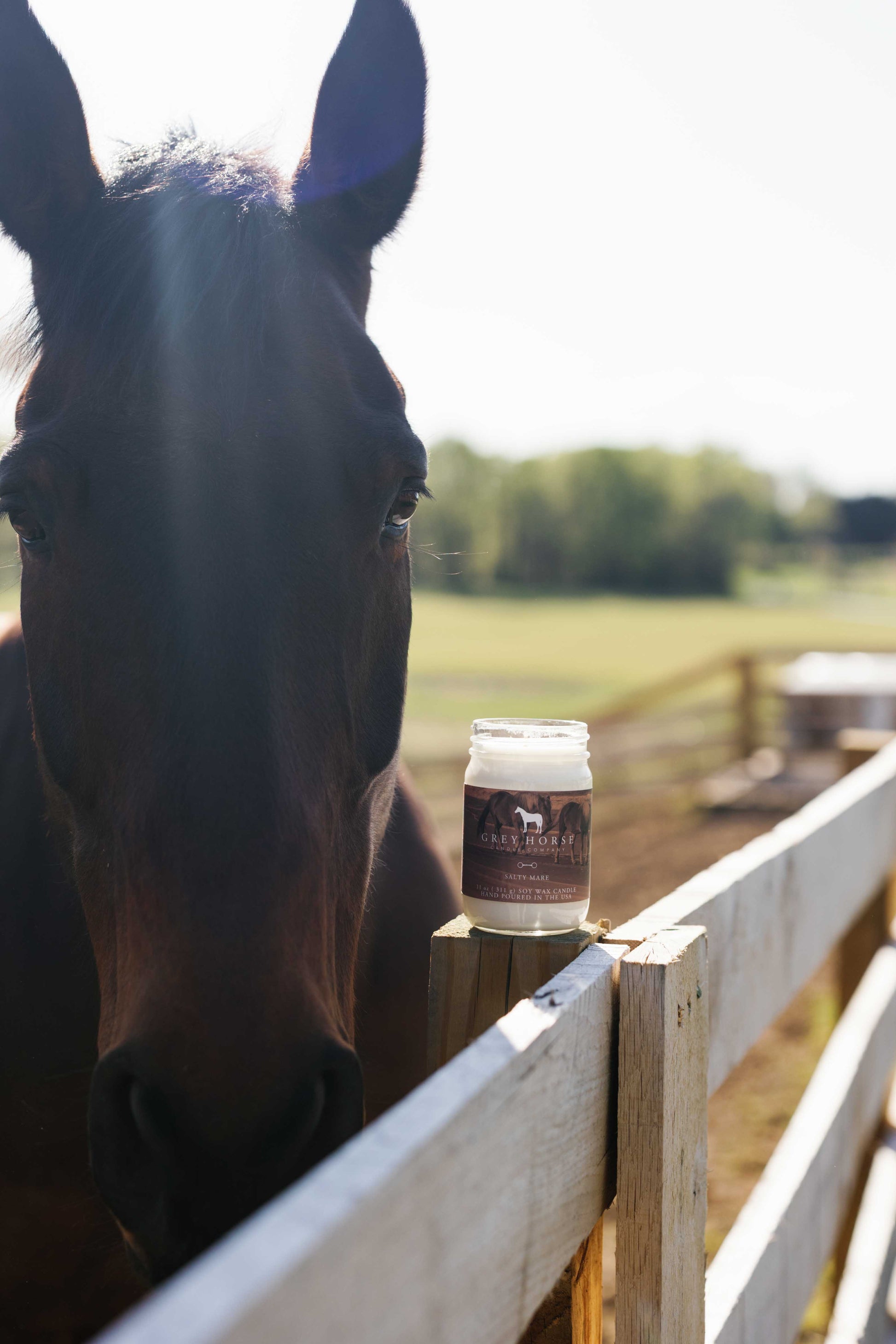 grey horse candle company salty mare scent