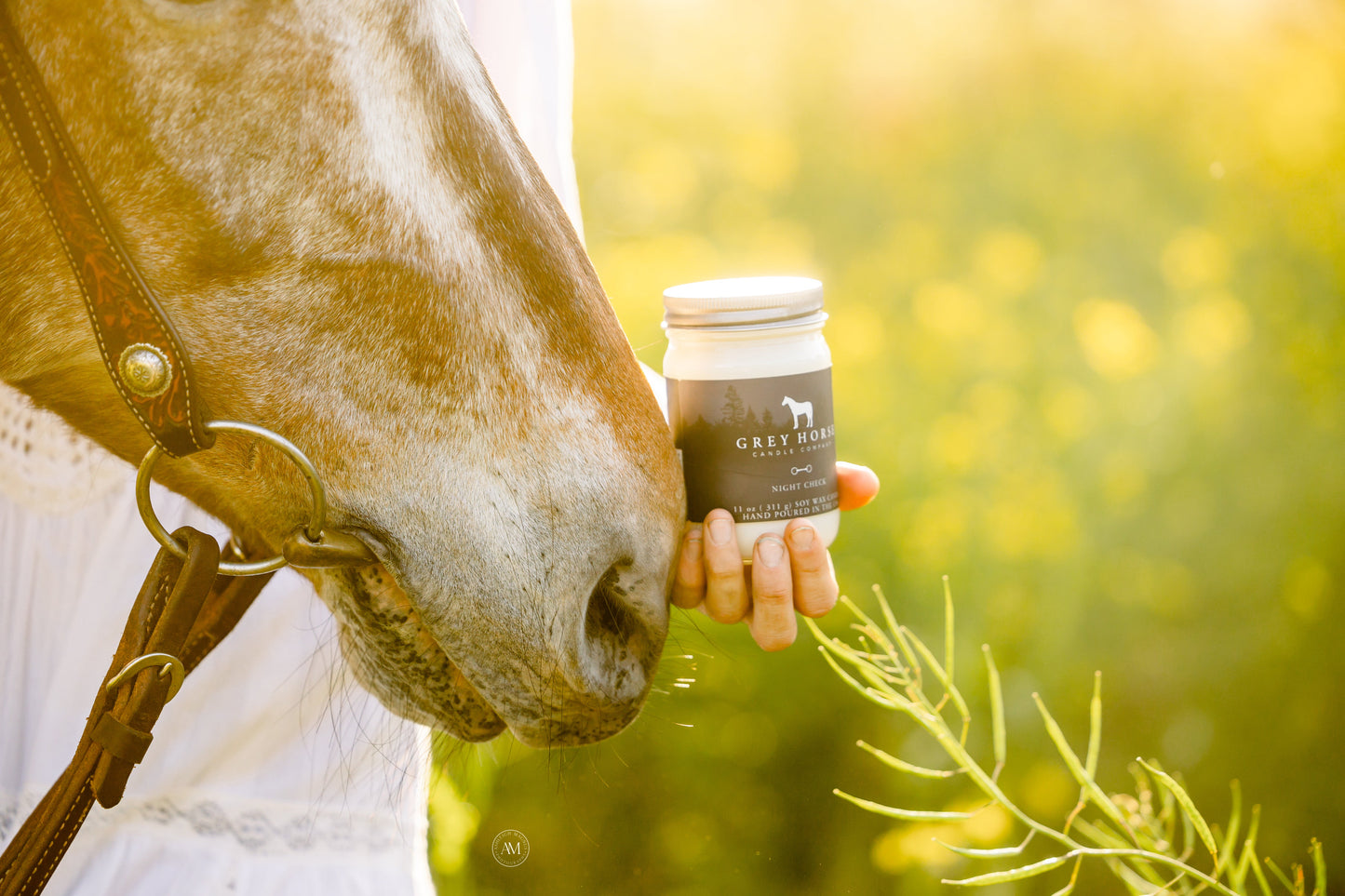 Grey horse candle Co night check scent