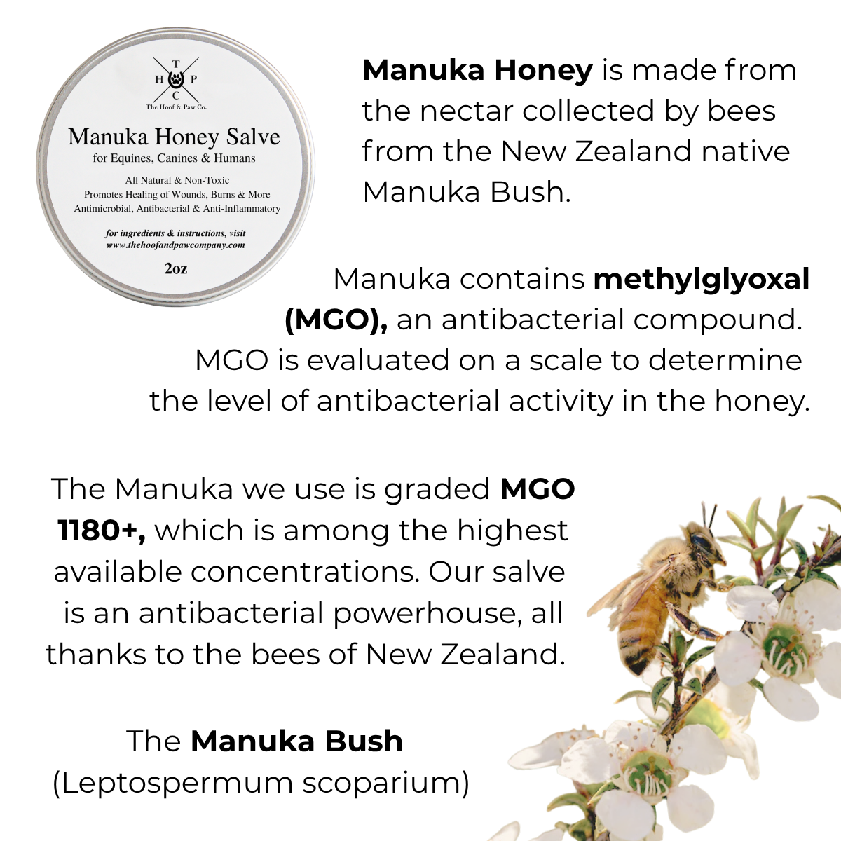 The Hoof & Paw Co. Manuka Honey Salve for Dogs, Horses & Humans