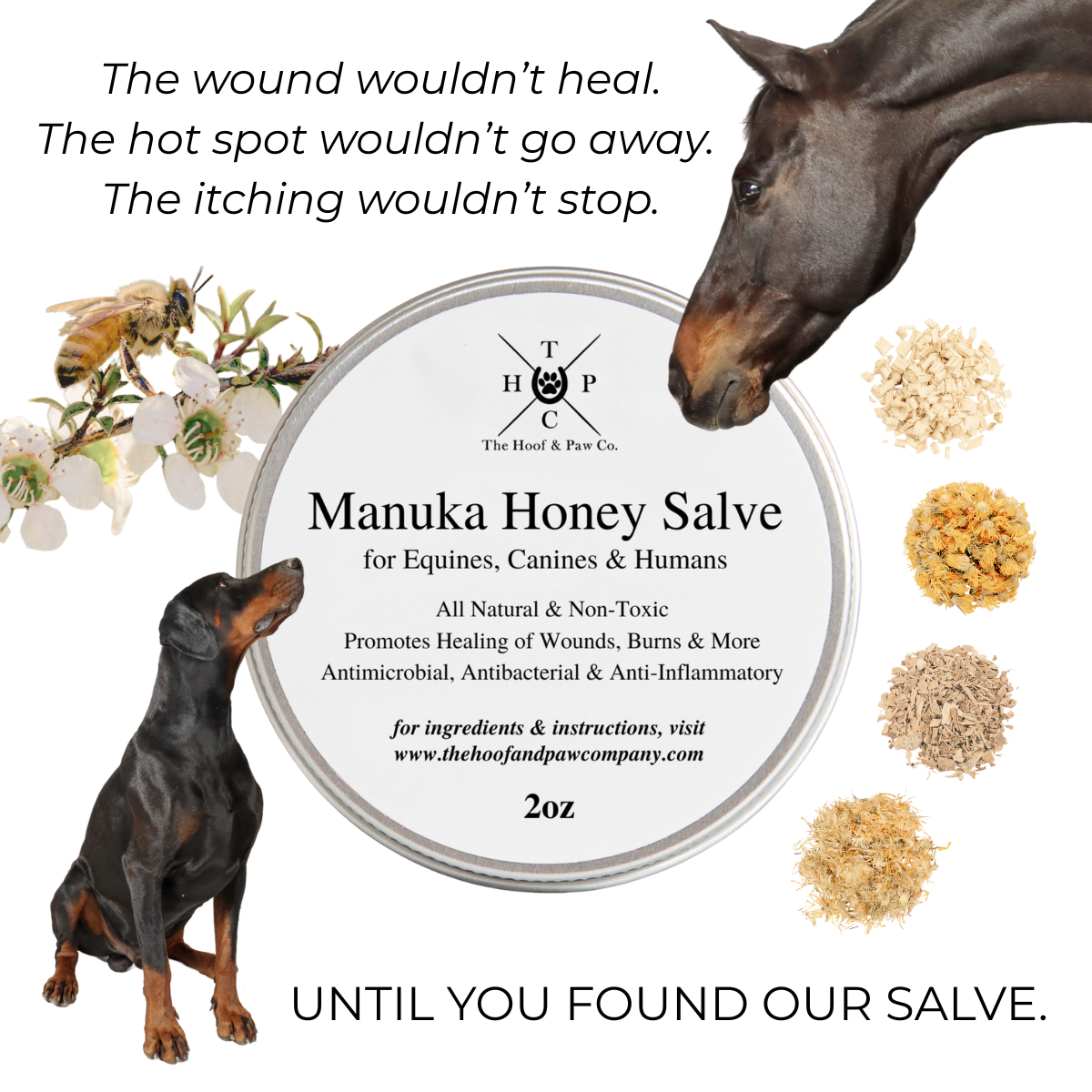 The Hoof & Paw Co. Manuka Honey Salve for Dogs, Horses & Humans
