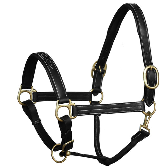 Black leather horse halter with gold hardware