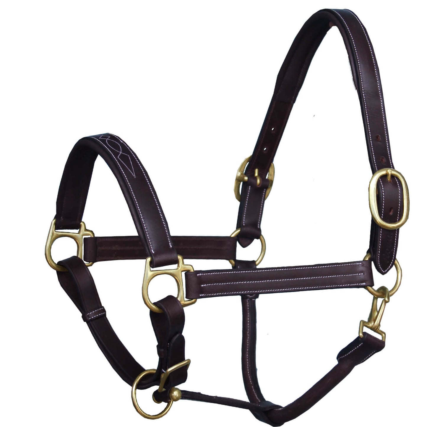Brown leather horse halter with gold hardware