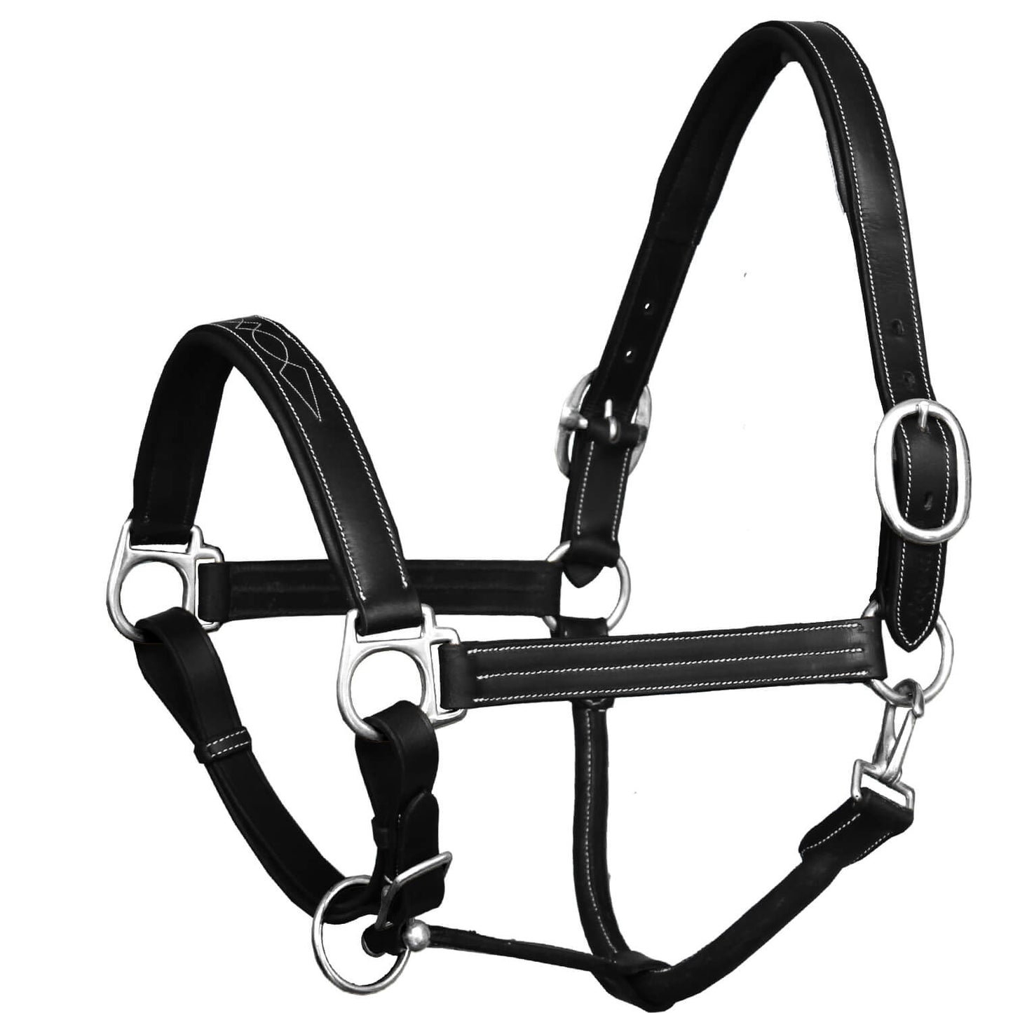 Black leather horse halter with metal hardware 