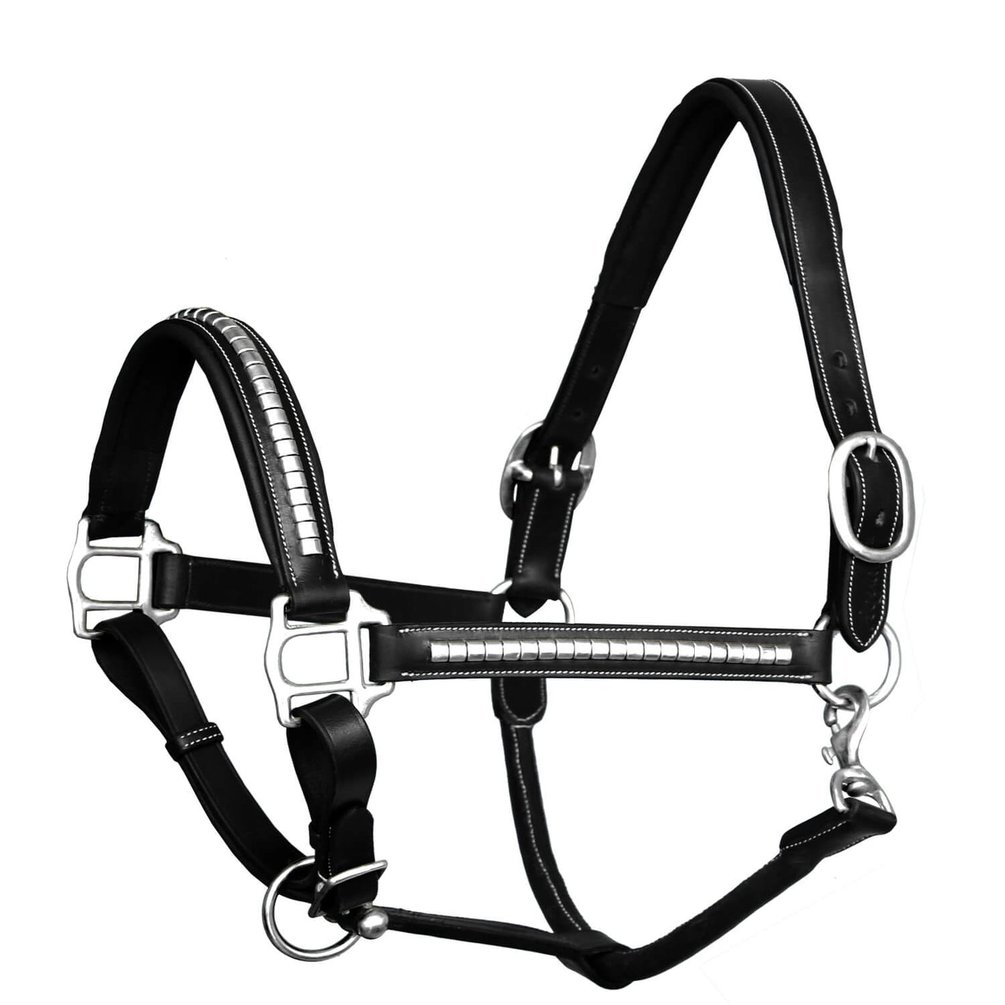 black horse halter silver hardware