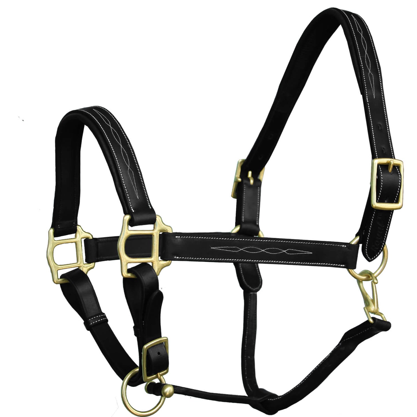 Black leather horse halter with gold hardware