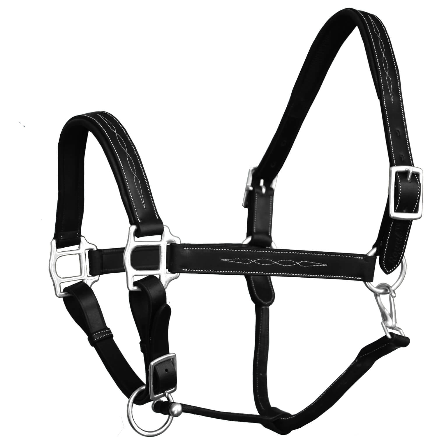 Black horse halter with silver hardware