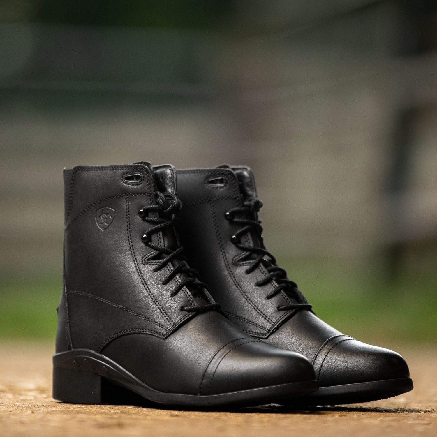 black laceup paddock boot