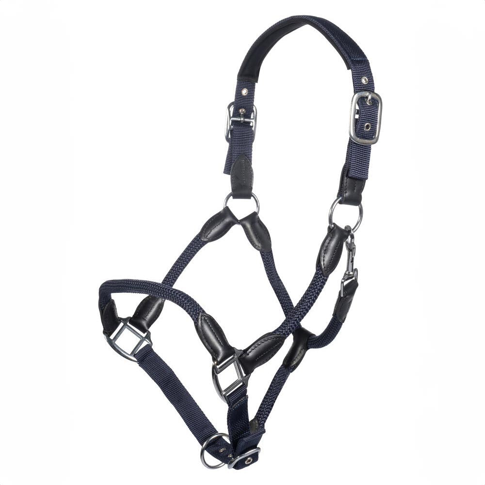 horse halter