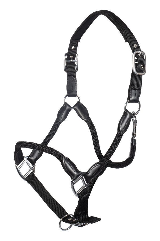 Black horse halter with metallic hardware on a white background