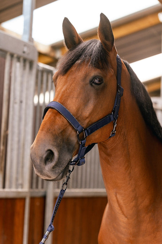 Harcour USA Hansey Horse Halter with Lead Rope Steel blue