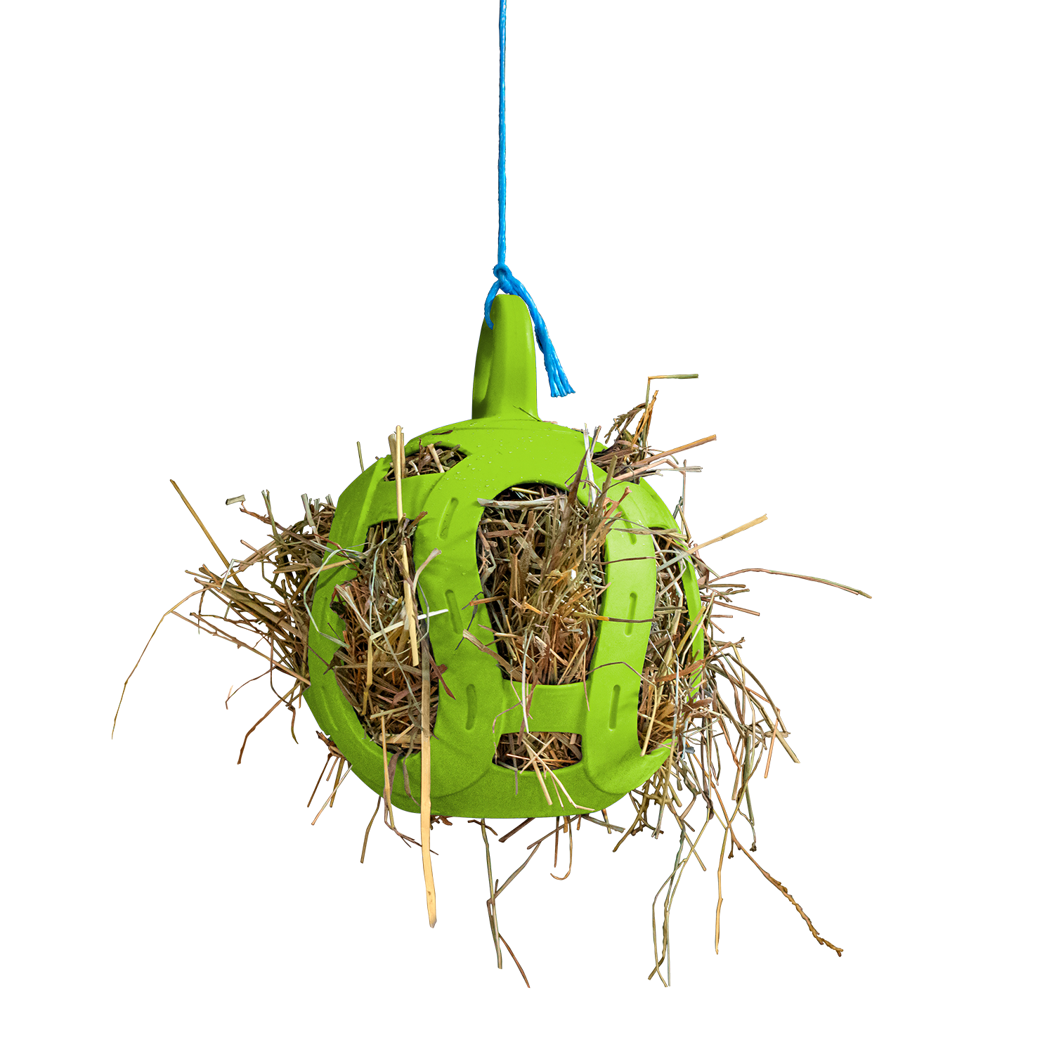Jolly Ball horse toy