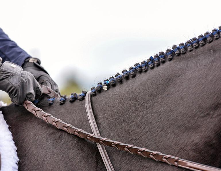 hunter braids in horse mane