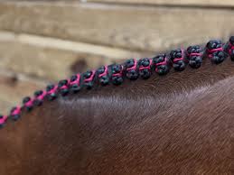 hunter braids in horse mane