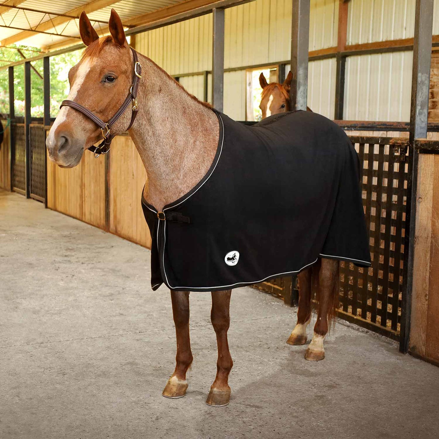 black fleece cooler