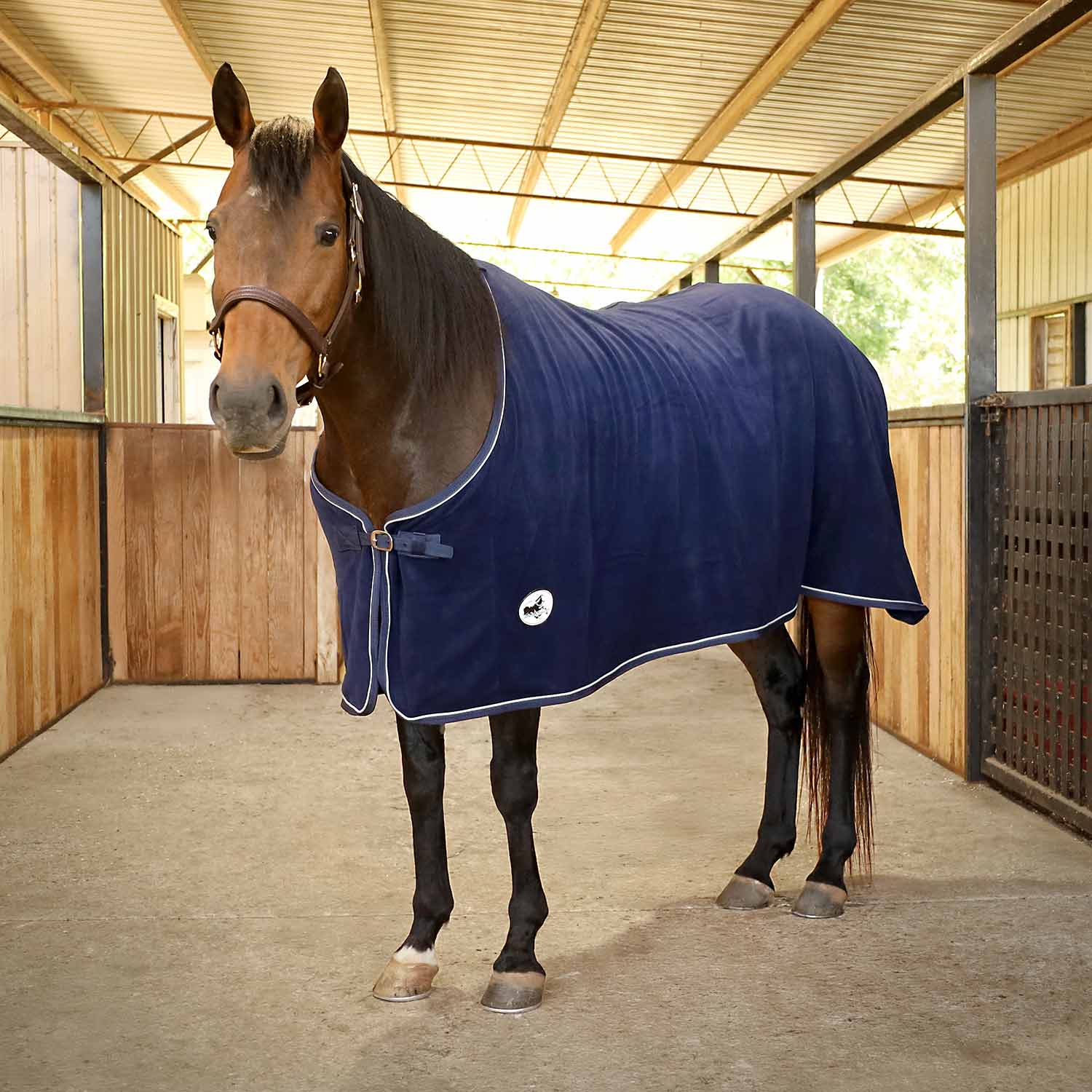 blue fleece cooler