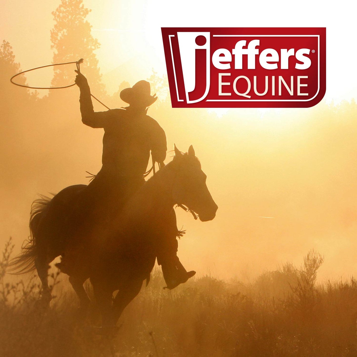 Jeffers Expression Horse Fan Bag Equestrian Toile - Horse Cleaning, Disinfectants & Odor Control Supplies (jefferspet.com)