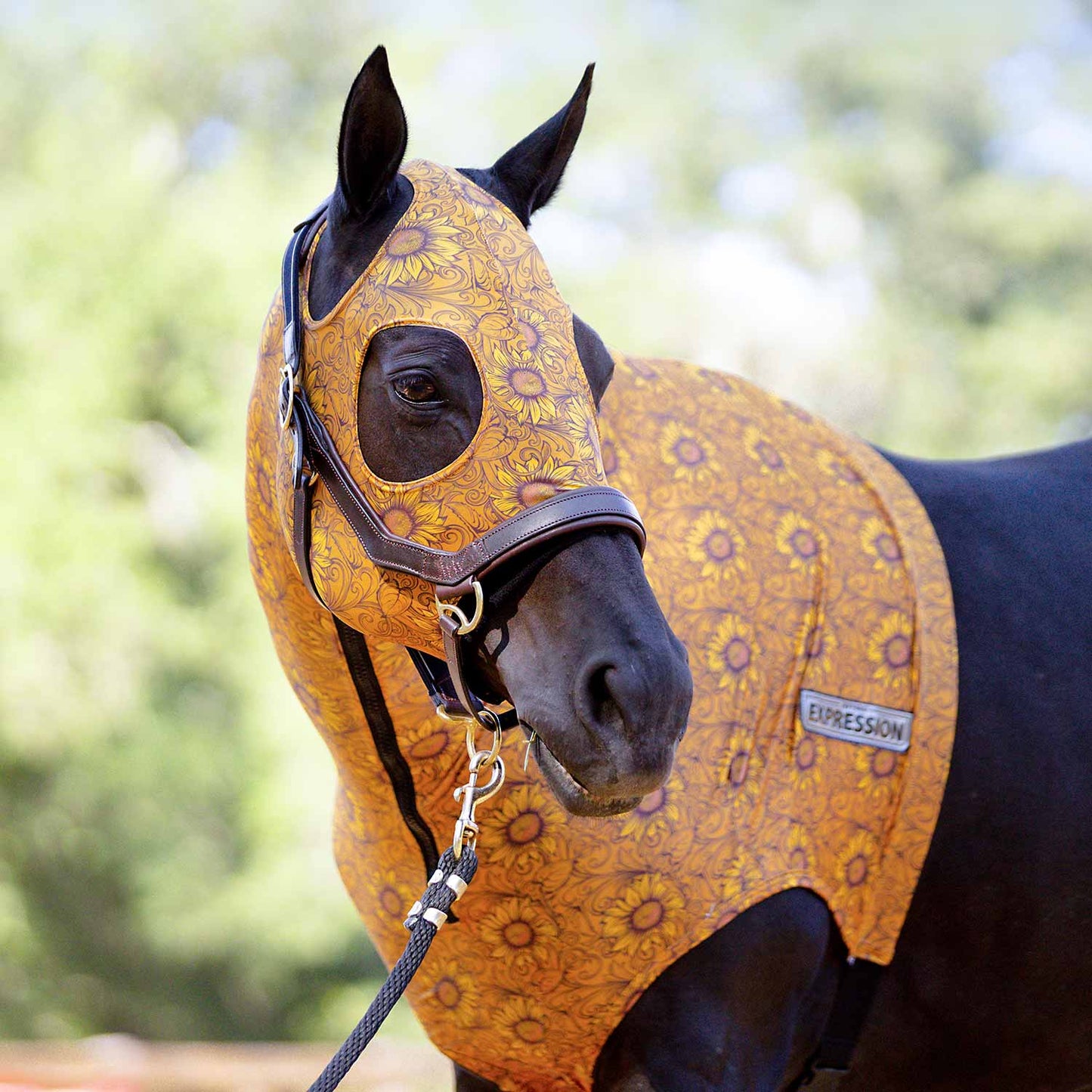 Jeffers Expression Lycra Hood for Horses