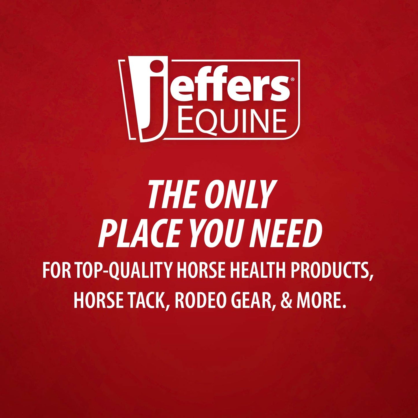 Jeffers Healthy Gut Gastric Support Liquid Supplement for Horses