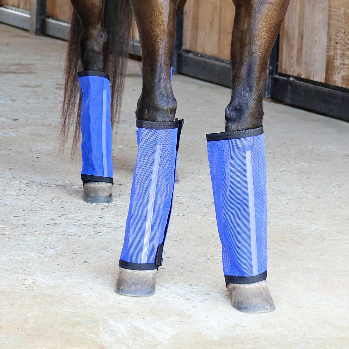 blue fly boots