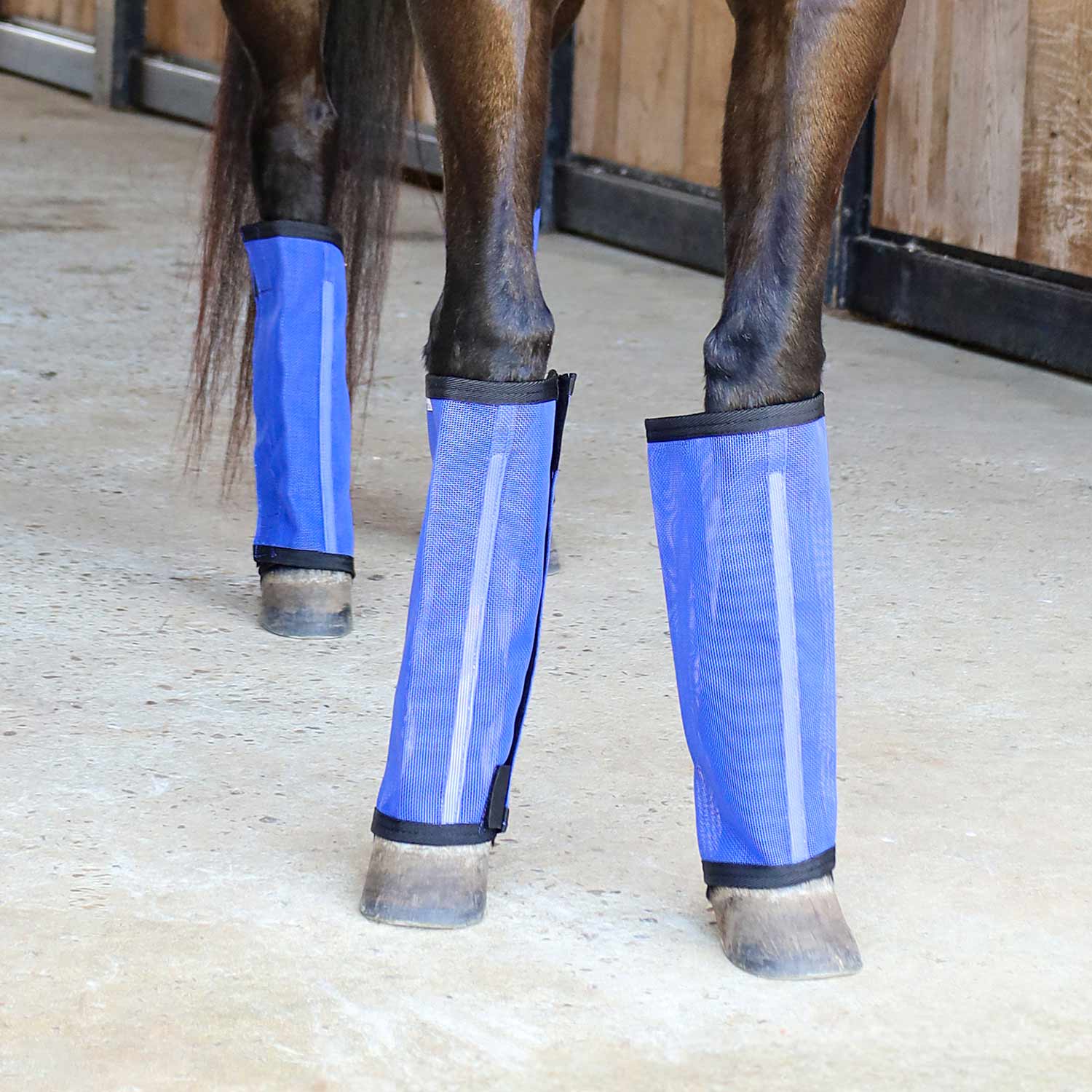 blue fly boots