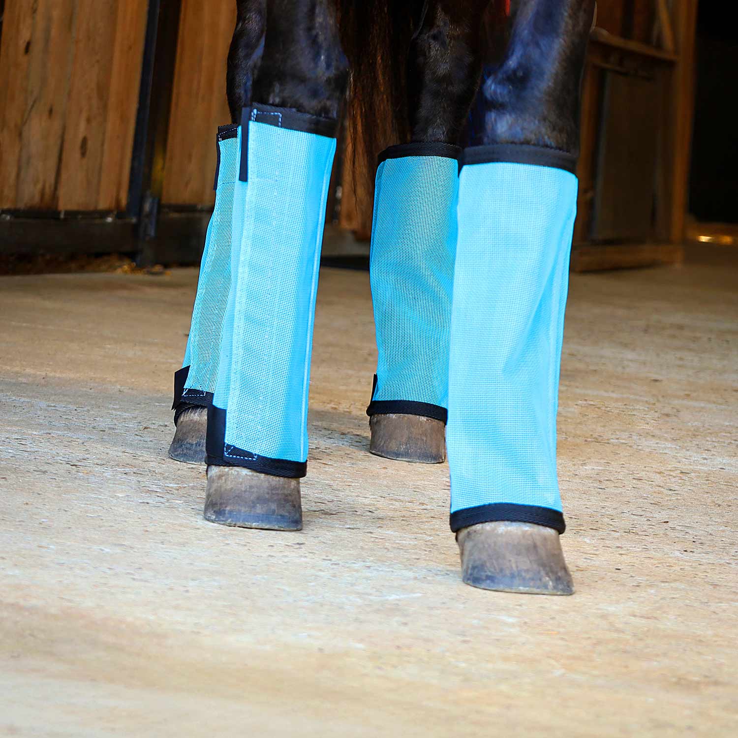 turquoise fly boots