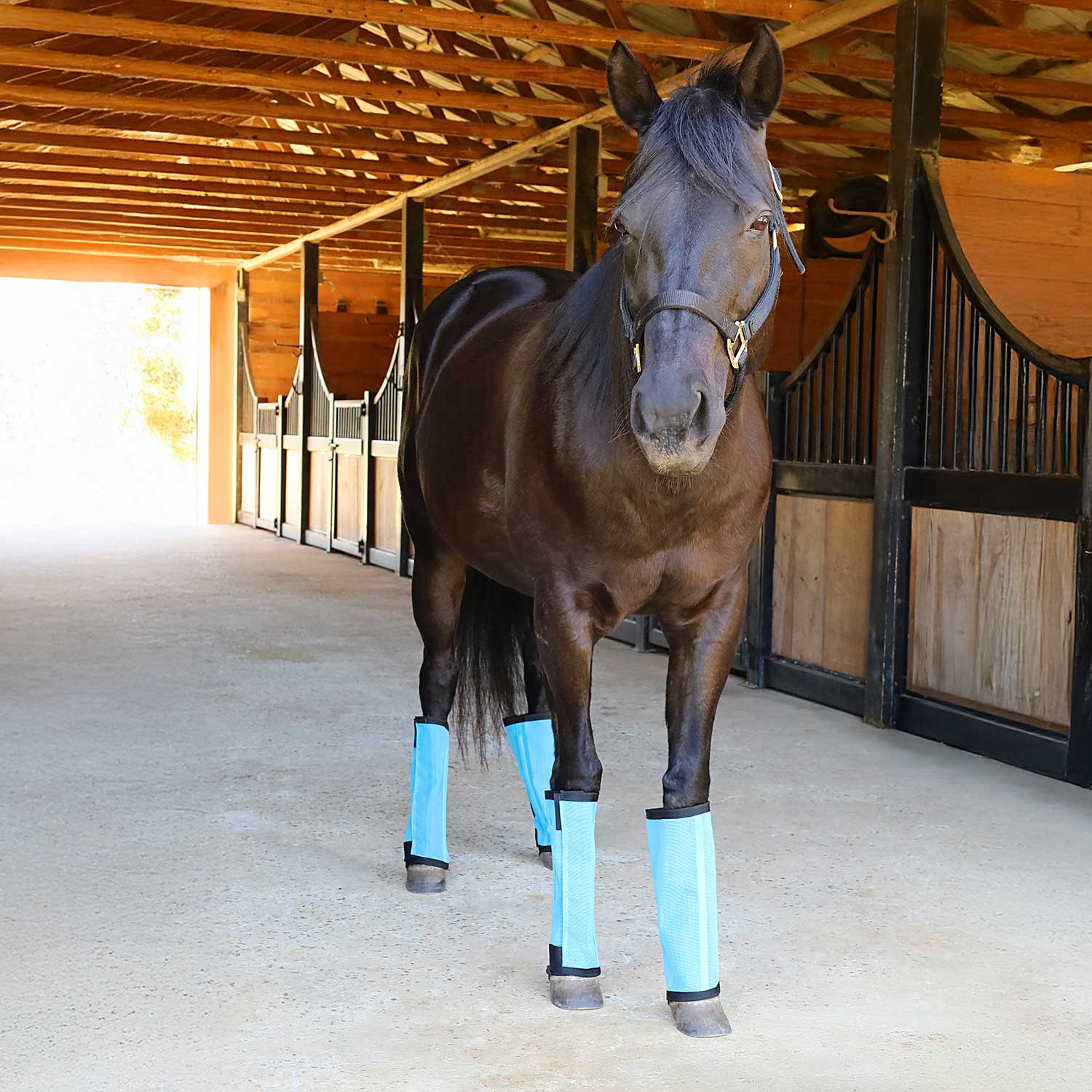 turquoise fly boots