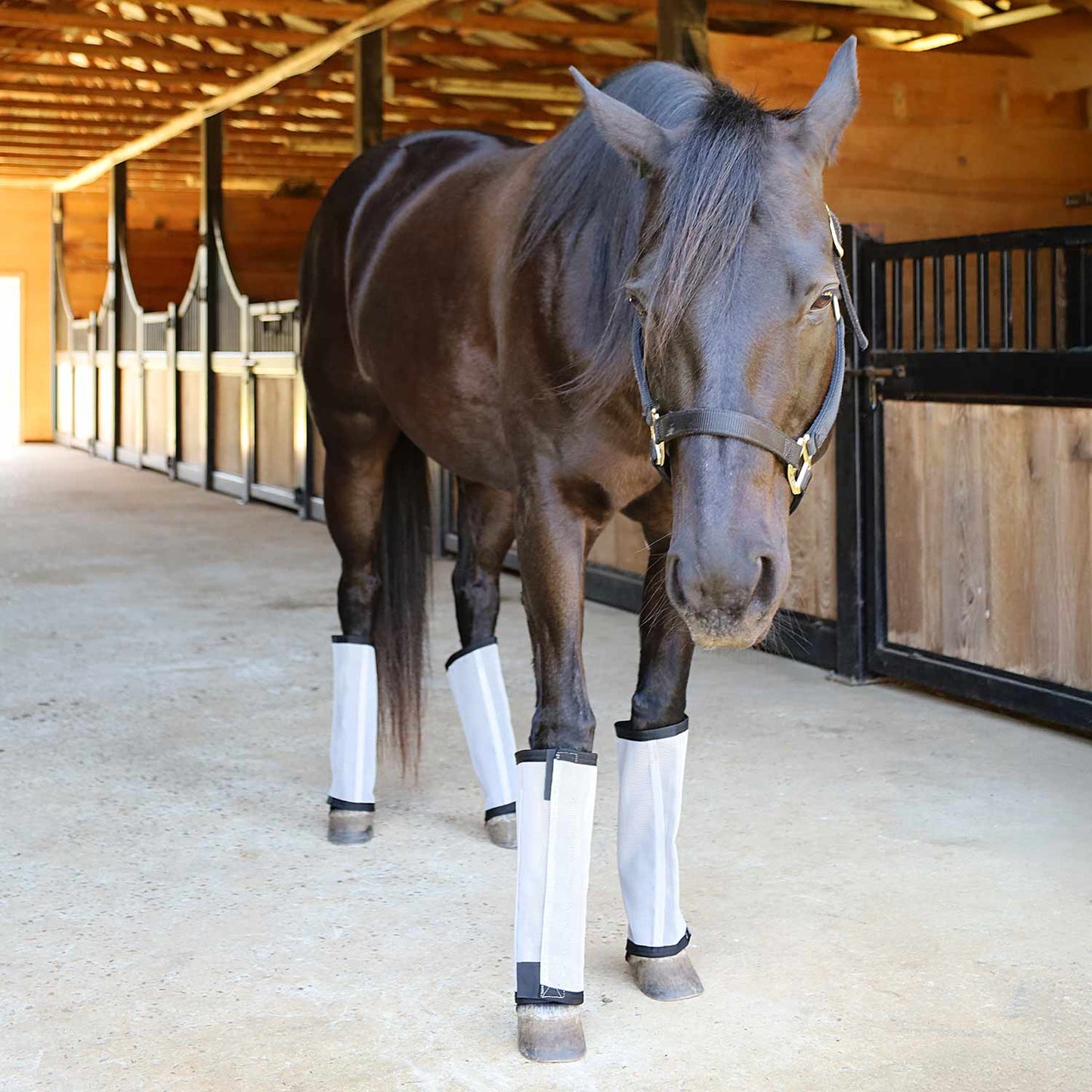 grey fly boots