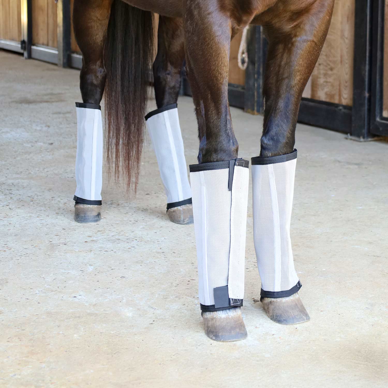grey fly boots