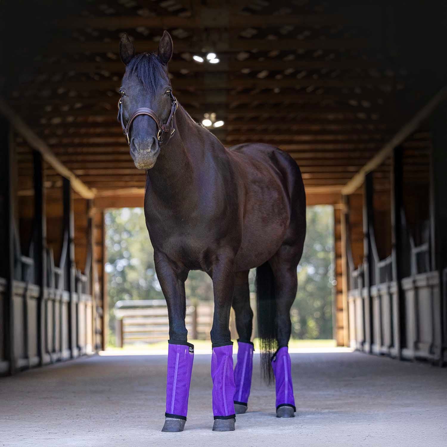 purple fly boots