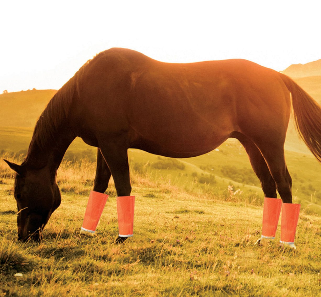 orange fly leggings