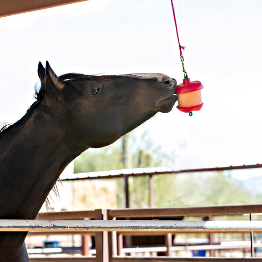 Horsemen's Pride Jolly Stall Snack - Horse Treat